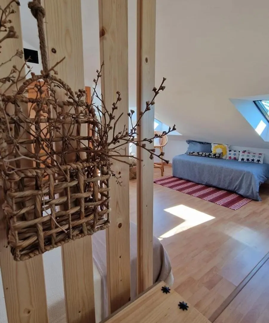 公寓 Loft En Primera Linea De Playa 阿尔马亚特阿尔托